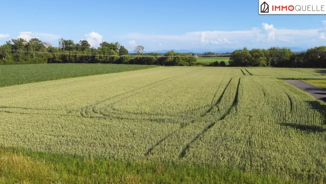 Wo Ruhe Raum für Zukunft schafft! 839 m² Baugrund in ruhiger Grünlage - familienfreundlich, wertstabil und bereit für Ihr neues Zuhause - Bild