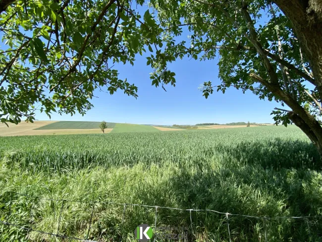 Blick ins Land