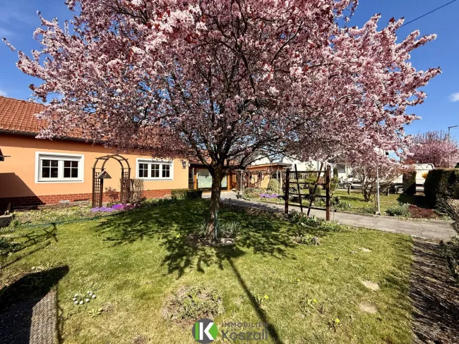 Blick von Garage