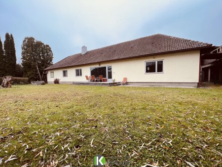 Gartenansicht Haus