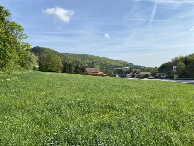 Großes Grundstück 4.267m² in Weissenbach/Hinterbrühl mit vielen Möglichkeiten! - Titelbild