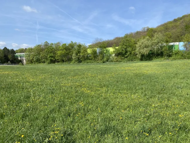 Großes Grundstück 4.267m² in Weissenbach/Hinterbrühl mit vielen Möglichkeiten! - Bild