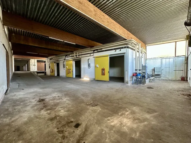 Große Lagerhalle im Zentrum von Hainfeld - Titelbild