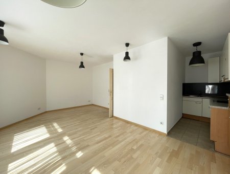 ruhige 1-Zimmer-Wohnung Nähe Stadtzentrum Mödling
