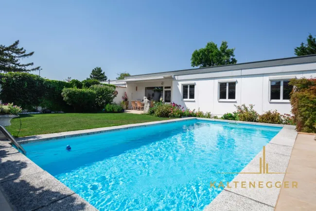 Poolbereich mit sonniger Terrasse und hoher Privatsphäre