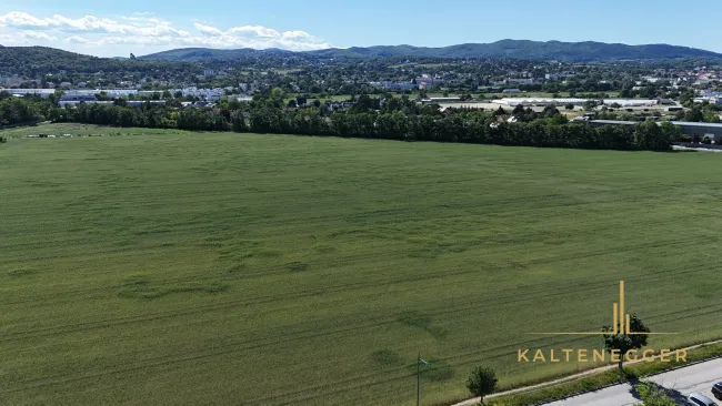 Freier Blick über das rund 11,7 ha große Feld Richtung Anninger