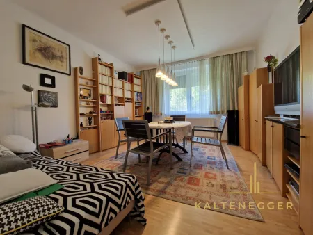 EG: Wohnzimmer ca. 18,96 m²