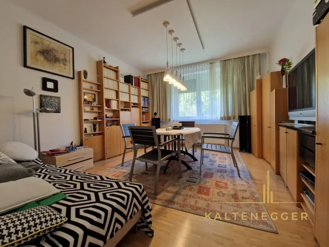 EG: Wohnzimmer ca. 18,96 m²
