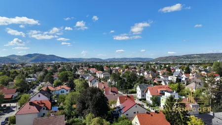 Die Umgebung, ganz viel Natur