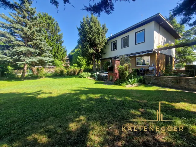 Gartenfläche hinter dem Haus