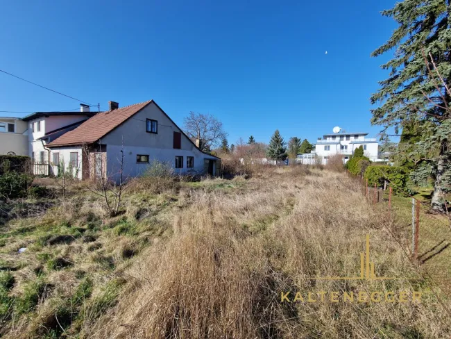 Blick auf das Grundstück von der Hinteransicht