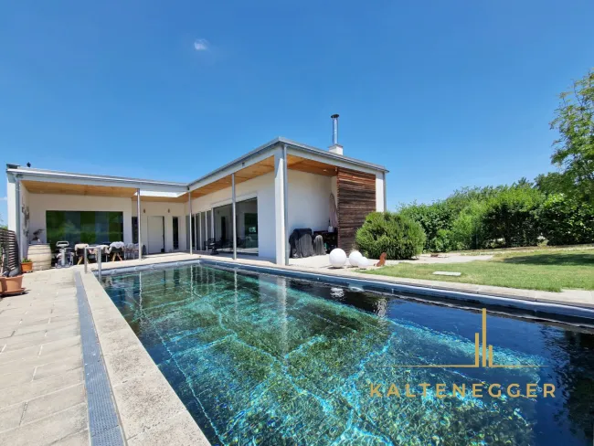 Vorderansicht: Blick auf das Haus und Naturpool