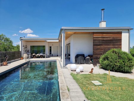 Vorderansicht: Blick auf das Haus und Naturpool