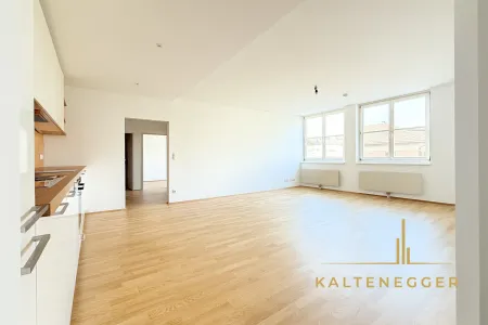 Blick vom Eingangsbereich in die Wohnküche