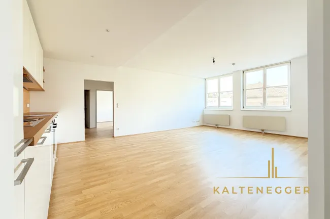 Blick vom Eingangsbereich in die Wohnküche