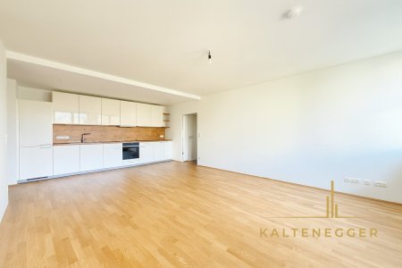 Wohnküche - viel Platz zum Wohnen und Essen