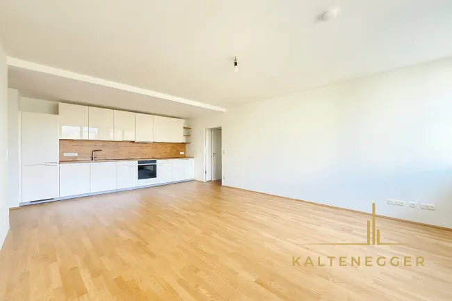 Wohnküche 33 m²