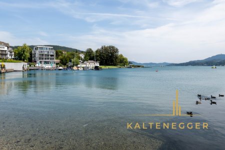 Blick auf den See und das Haus