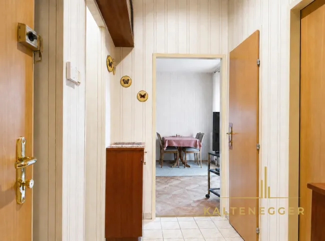Zentrales Vorzimmer: Zugang zu Küche, Bad, WC, Wohnzimmer