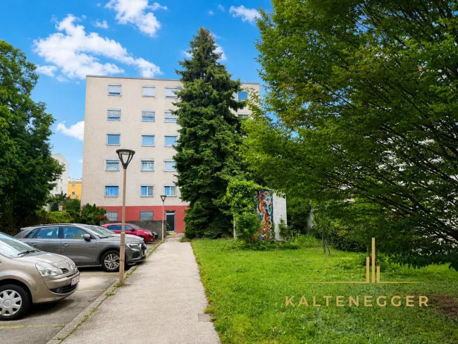 Grüner Innenhof zwischen den 2 Gebäuden der Wohnhausanlage
