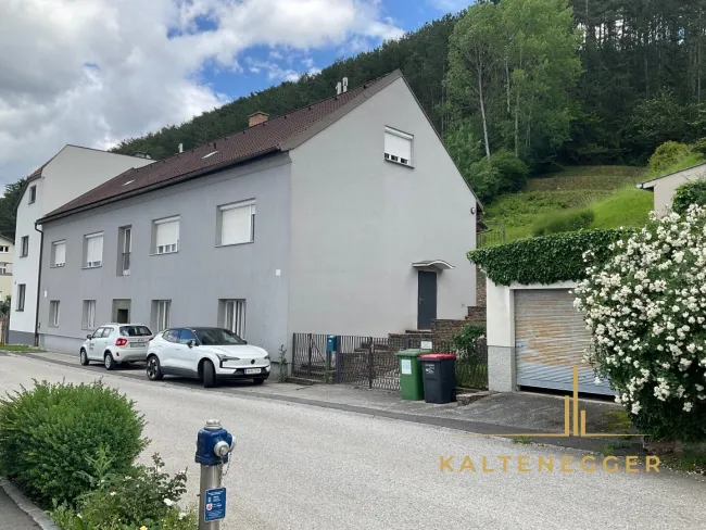Großzügiges Haus in Grafenbach-St. Valentin - Bild