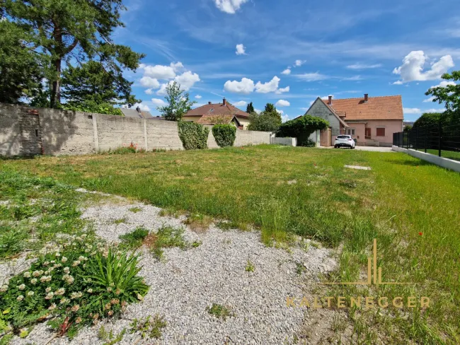 Garten mit Blick auf das Haus