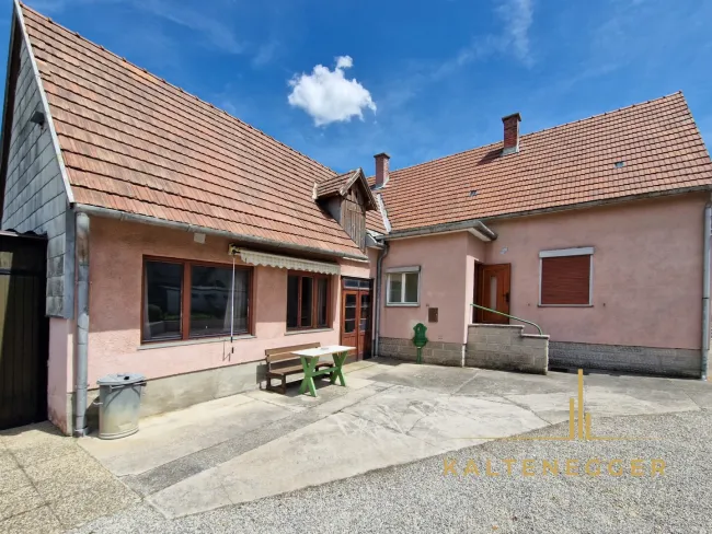 Haus mit ehemaligen Heurigenlokal, rechts Haupthaus