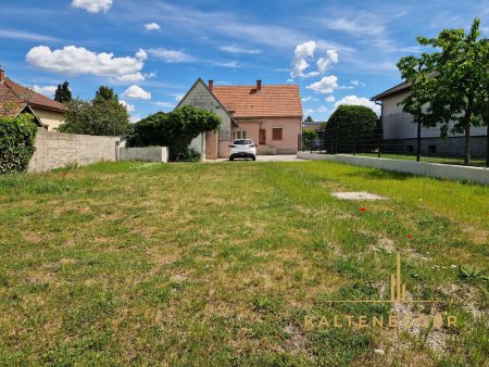 Garten mit Blick auf das Haus