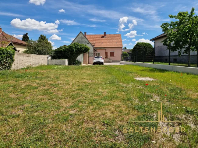 Garten mit Blick auf das Haus
