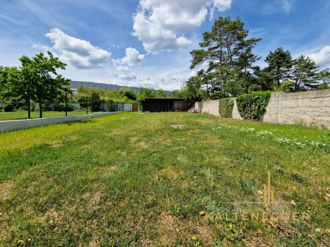 Garten mit Blick auf das Haus