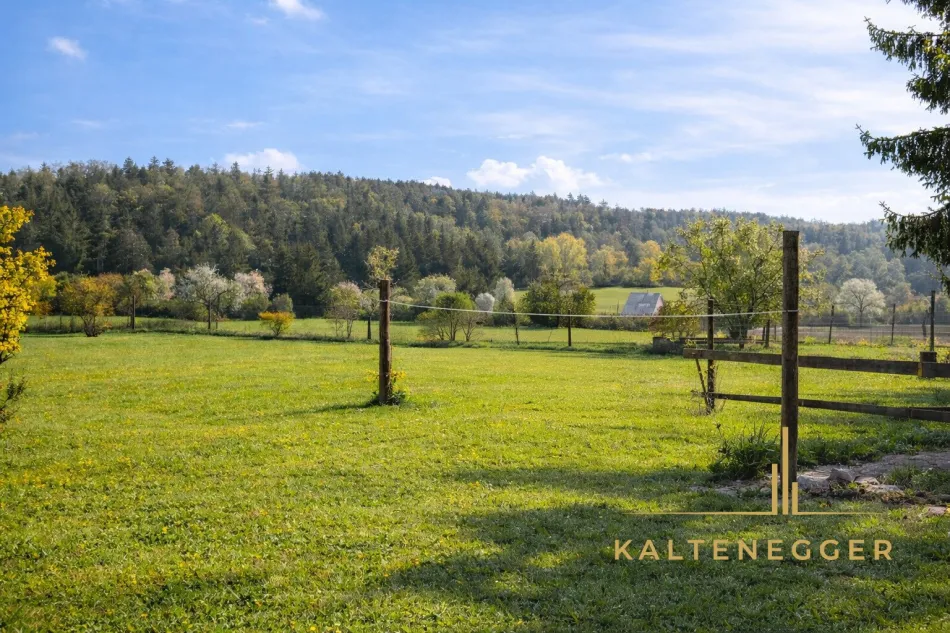 Bauernhof mit fünf Wohnungen und einem schönen Baugrund - Bild