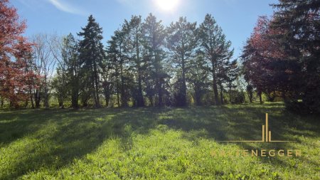 Schönes Grundstück - 1085m² - rot