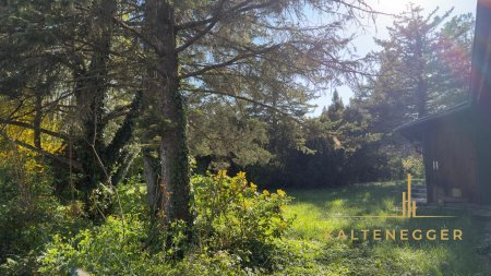 Einzigartiges Baugrundstück mit Holzhütte - Blau