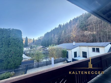 Traumhaftes Mehrfamilienhaus in Edlitz: 5 Zimmer und Pool