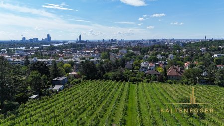 Baugenehmigtes Grundstück am Döblinger Nussberg