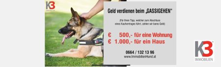 K3 - Doppelhaushälfte in ruhiger Lage | Gneis