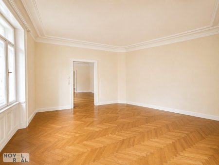 Altbaucharme im Herzen Wiens-Wohnung-Praxis-Büro