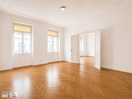 Altbaujuwel im Herzen Wien- Wohnung- Praxis-Büro
