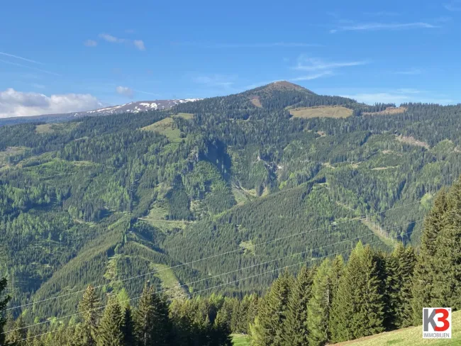 K3 - NEU: EIGENJAGD - KÄRNTEN - Titelbild