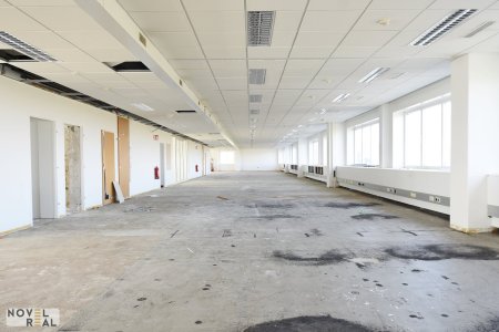 Moderne Gewerbefläche in Wiener Neudorf
