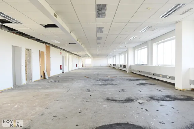 Moderne Gewerbefläche in Wiener Neudorf - Titelbild