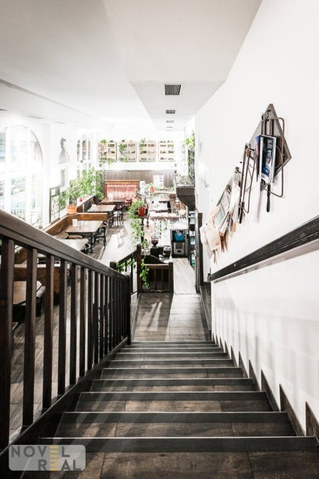 Exklusives Immobilienpaket: Gastgewerbe, Gastronomie und Wohnung im Herzen von Wien