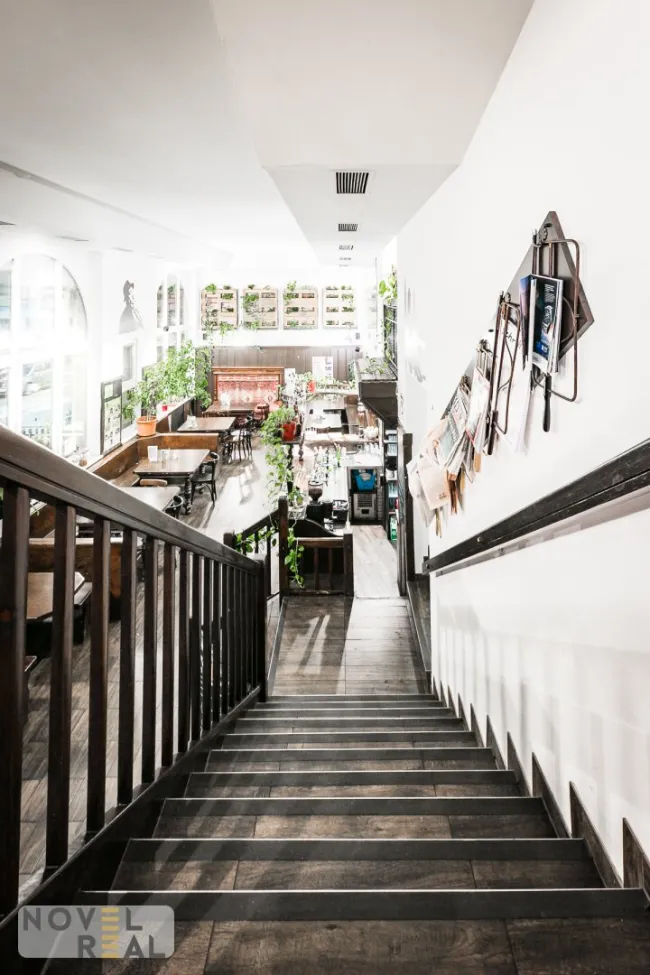 Exklusives Immobilienpaket: Gastgewerbe, Gastronomie und Wohnung im Herzen von Wien - Bild