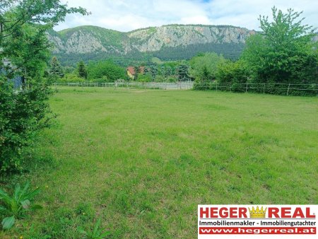 sonniger BAUGRUND am FUßE der HOHEN WAND - NATUR pur