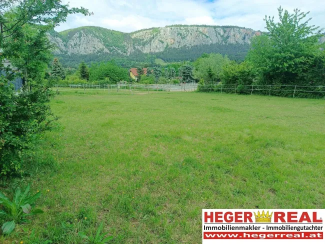 sonniger BAUGRUND am FUßE der HOHEN WAND - NATUR pur - Titelbild