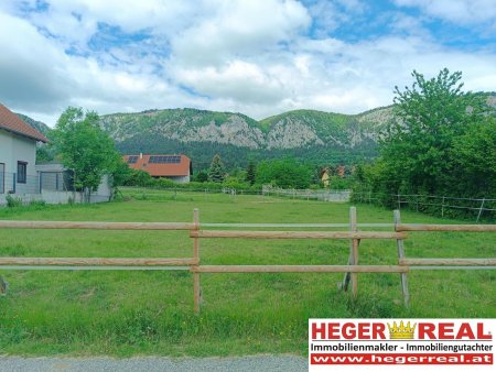 sonniger BAUGRUND am FUßE der HOHEN WAND - NATUR pur