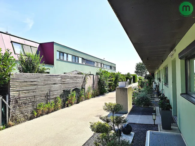 Blick in die Reihenhausanlage