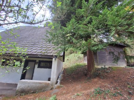 Ferienhaus mit tollem Grundstück zu vermieten!