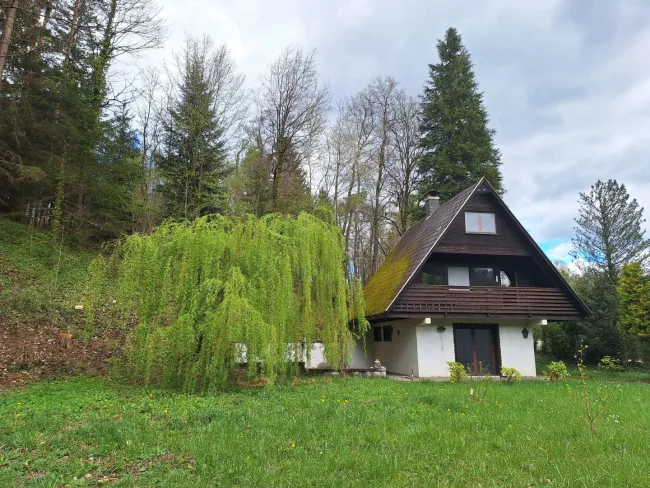 Ferienhaus mit tollem Grundstück zu vermieten! - Titelbild