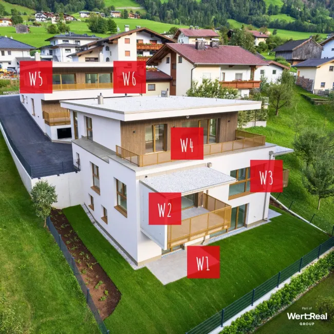 TOP W5
